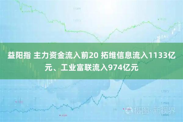 益阳指 主力资金流入前20 拓维信息流入1133亿元、工业富联流入974亿元