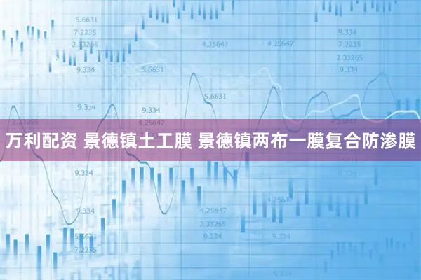 万利配资 景德镇土工膜 景德镇两布一膜复合防渗膜